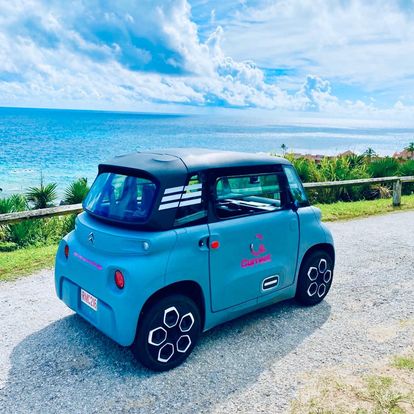 Citroen Ami Electric Mini Car - Current Vehicles